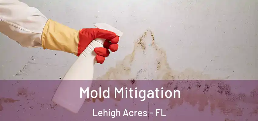 Mold Mitigation Lehigh Acres - FL