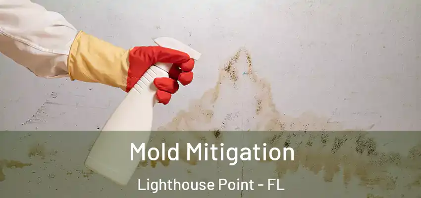 Mold Mitigation Lighthouse Point - FL