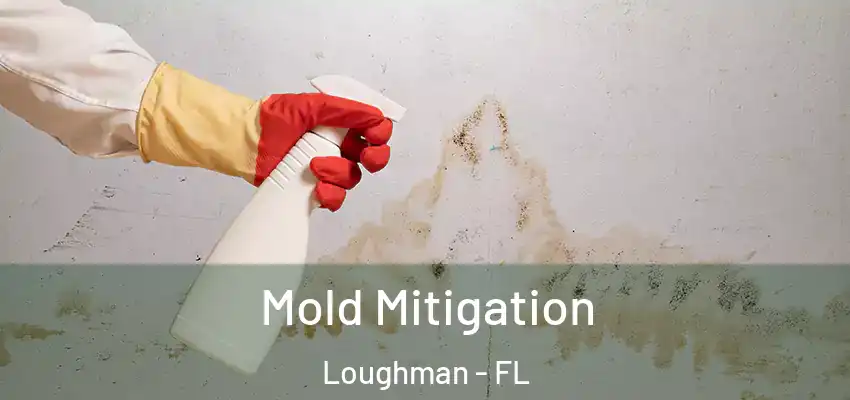 Mold Mitigation Loughman - FL