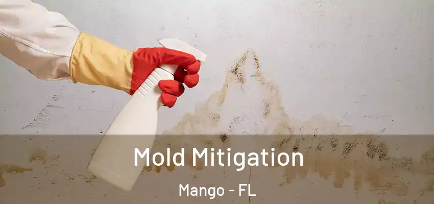  Mold Mitigation Mango - FL