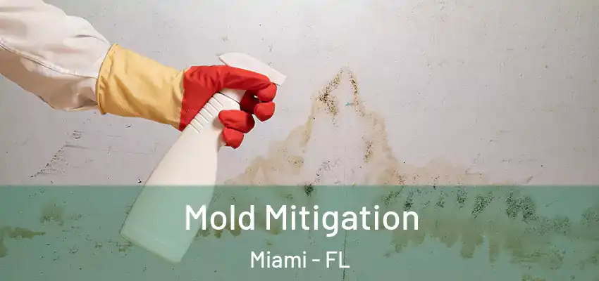 Mold Mitigation Miami - FL