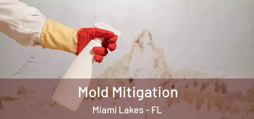 Mold Mitigation Miami Lakes - FL