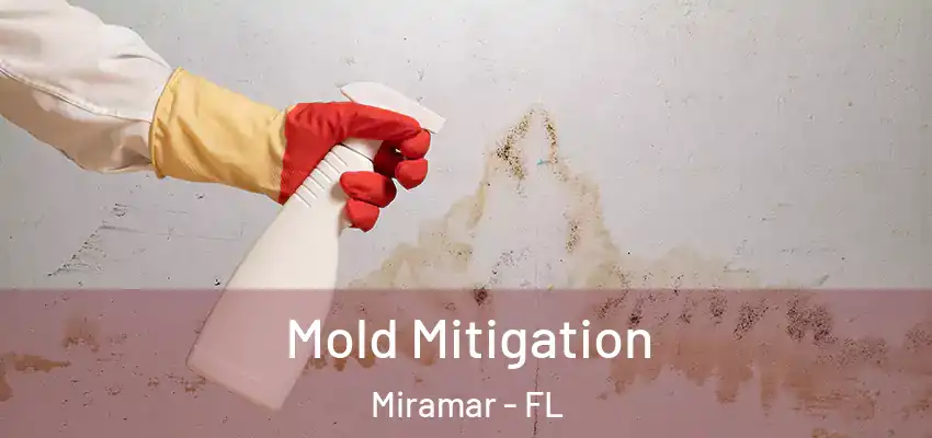 Mold Mitigation Miramar - FL