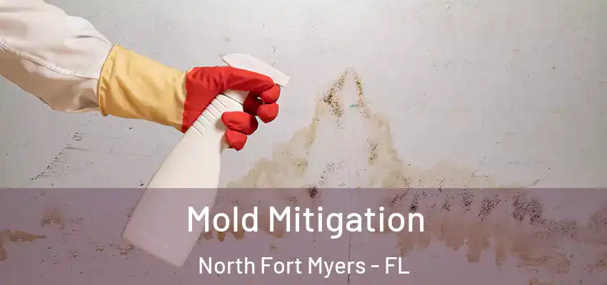  Mold Mitigation North Fort Myers - FL