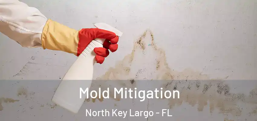 Mold Mitigation North Key Largo - FL