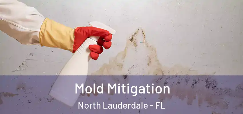  Mold Mitigation North Lauderdale - FL