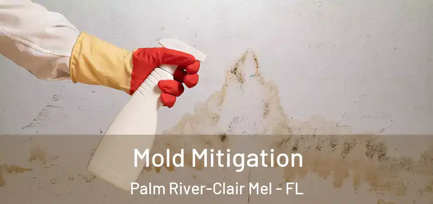 Mold Mitigation Palm River-Clair Mel - FL