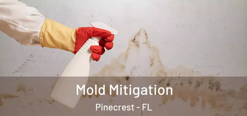  Mold Mitigation Pinecrest - FL