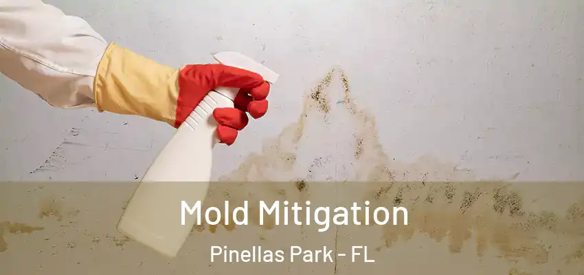 Mold Mitigation Pinellas Park - FL