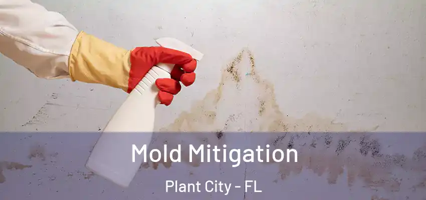 Mold Mitigation Plant City - FL