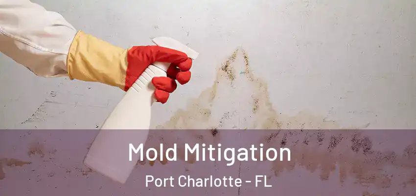 Mold Mitigation Port Charlotte - FL