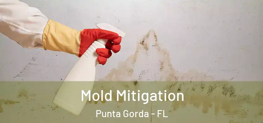 Mold Mitigation Punta Gorda - FL