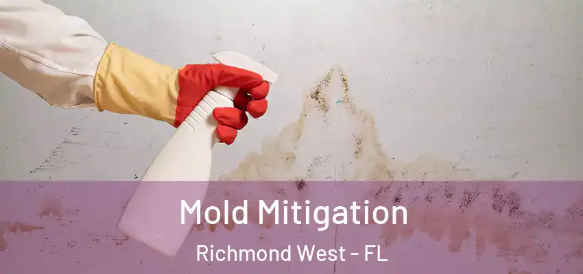 Mold Mitigation Richmond West - FL