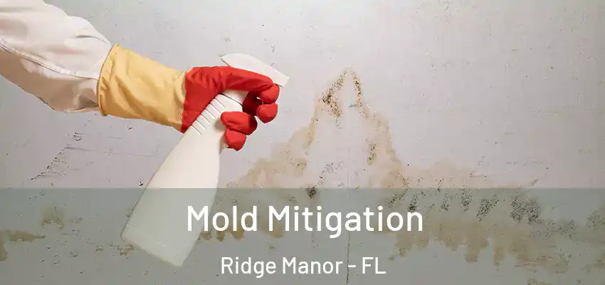 Mold Mitigation Ridge Manor - FL