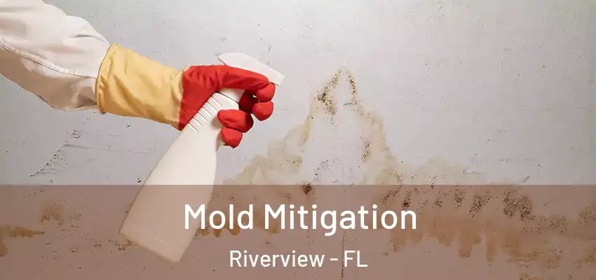 Mold Mitigation Riverview - FL