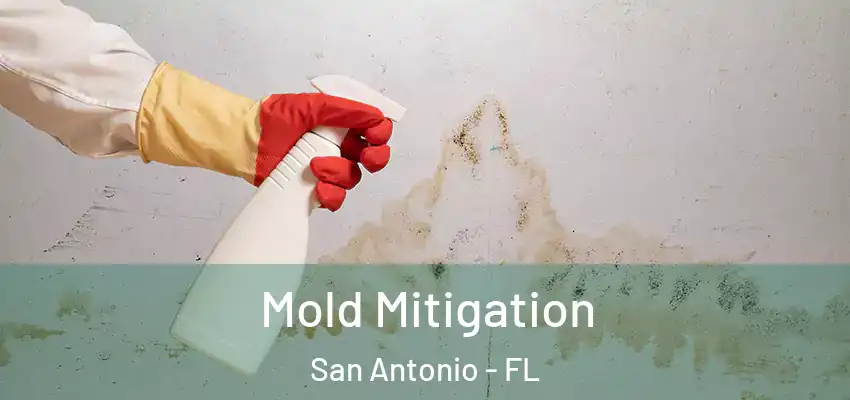 Mold Mitigation San Antonio - FL