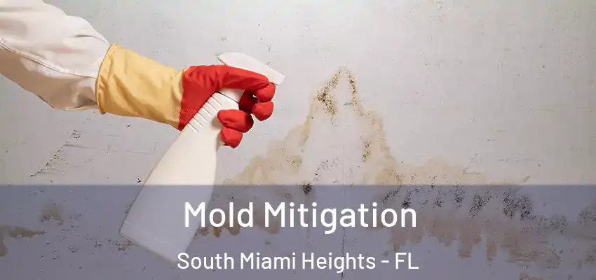  Mold Mitigation South Miami Heights - FL