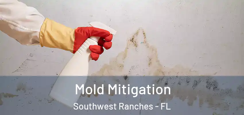 Mold Mitigation Southwest Ranches - FL