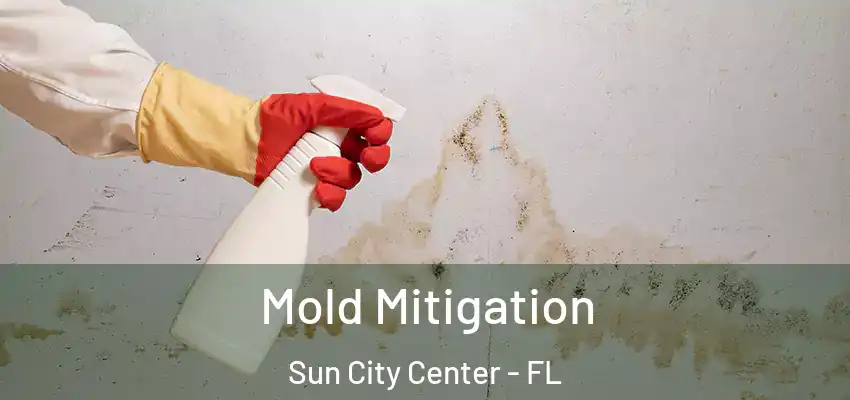 Mold Mitigation Sun City Center - FL