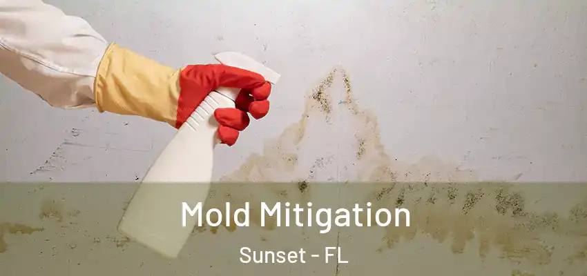 Mold Mitigation Sunset - FL