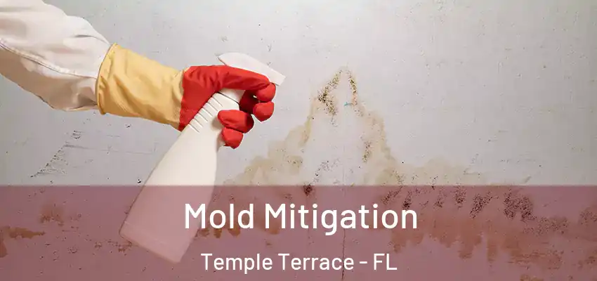 Mold Mitigation Temple Terrace - FL