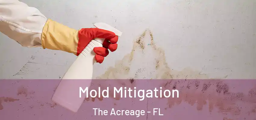  Mold Mitigation The Acreage - FL