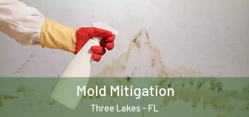 Mold Mitigation Three Lakes - FL