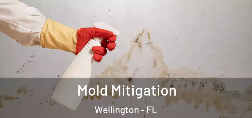  Mold Mitigation Wellington - FL