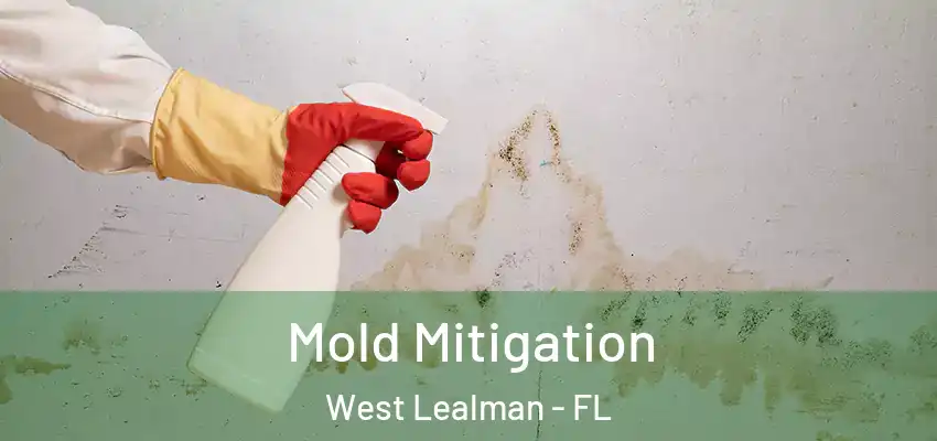 Mold Mitigation West Lealman - FL