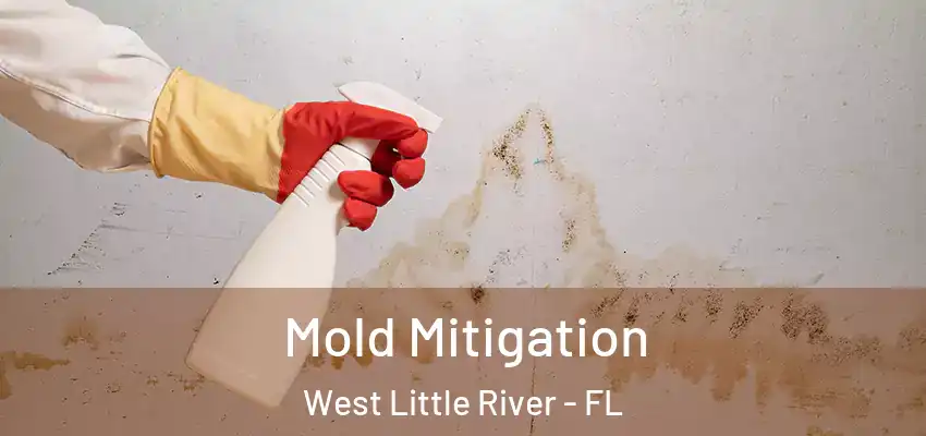 Mold Mitigation West Little River - FL
