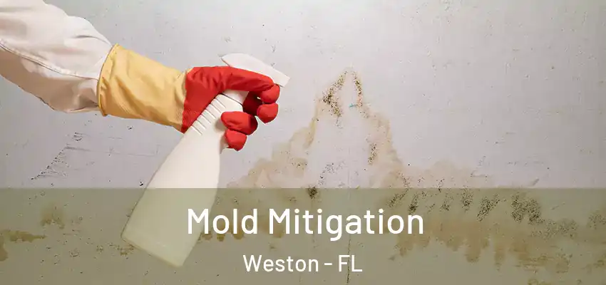 Mold Mitigation Weston - FL