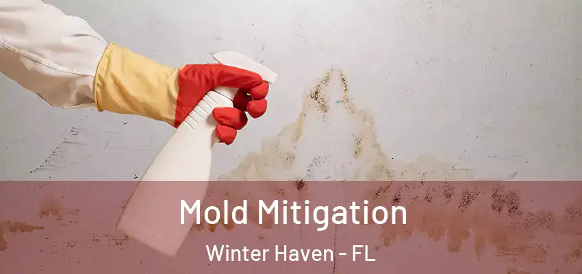 Mold Mitigation Winter Haven - FL