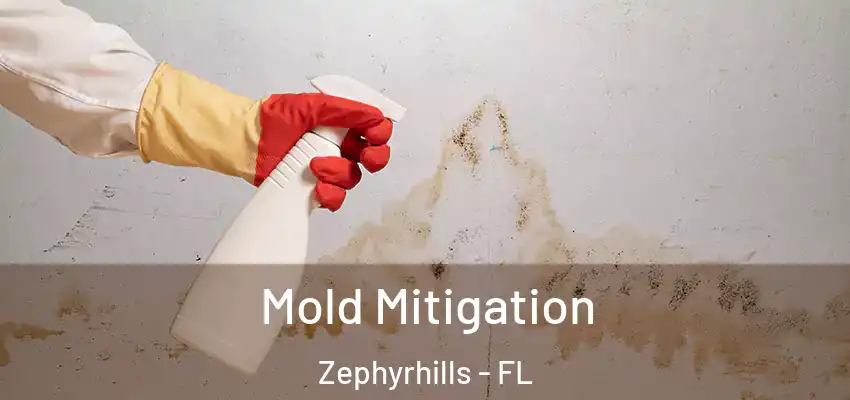 Mold Mitigation Zephyrhills - FL