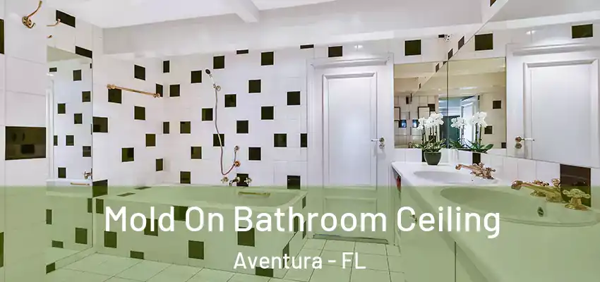  Mold On Bathroom Ceiling Aventura - FL
