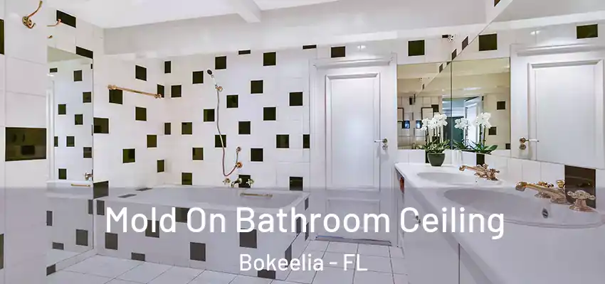 Mold On Bathroom Ceiling Bokeelia - FL