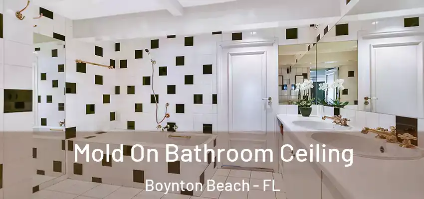  Mold On Bathroom Ceiling Boynton Beach - FL