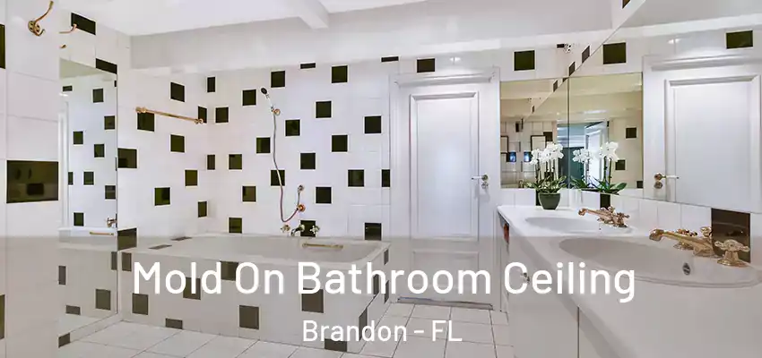 Mold On Bathroom Ceiling Brandon - FL
