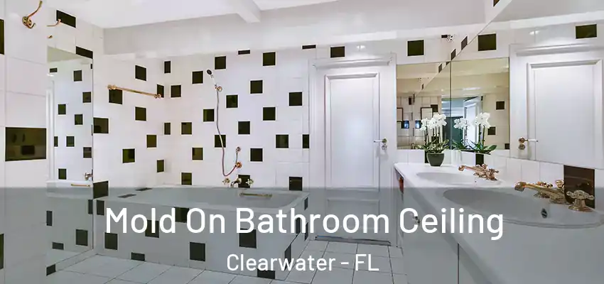  Mold On Bathroom Ceiling Clearwater - FL
