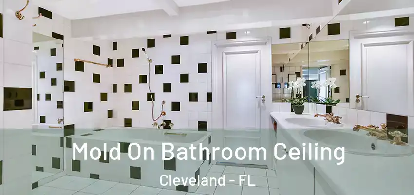 Mold On Bathroom Ceiling Cleveland - FL