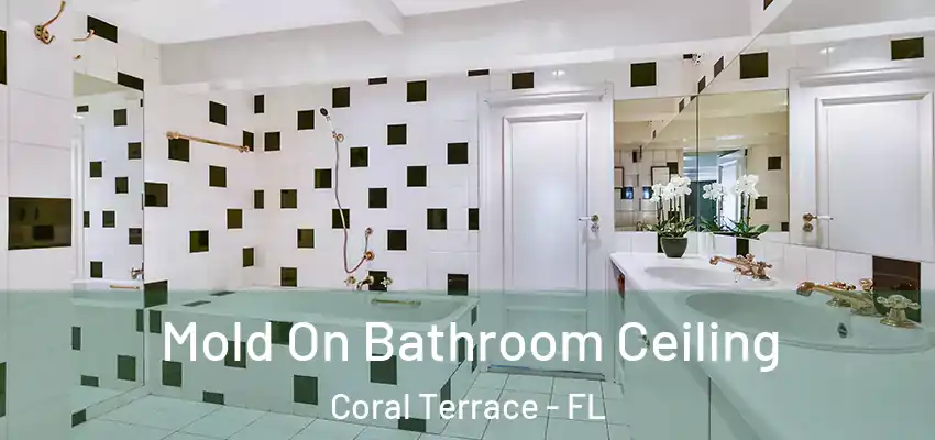  Mold On Bathroom Ceiling Coral Terrace - FL