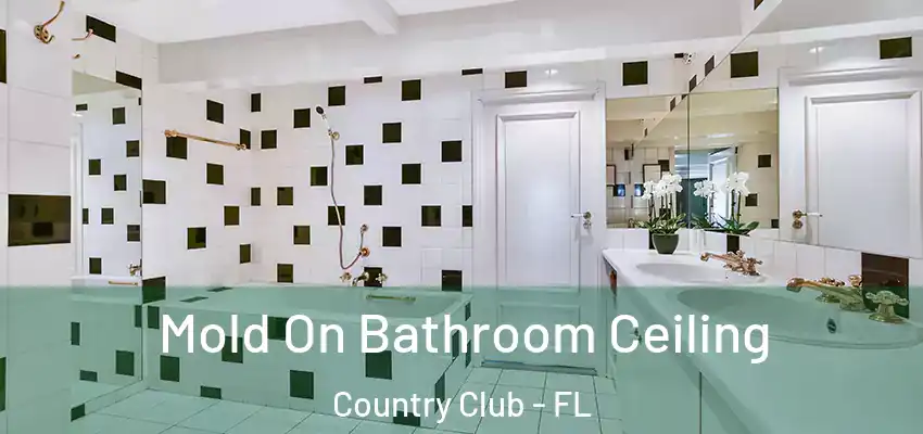 Mold On Bathroom Ceiling Country Club - FL