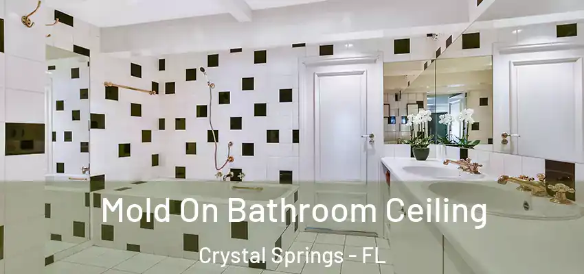  Mold On Bathroom Ceiling Crystal Springs - FL