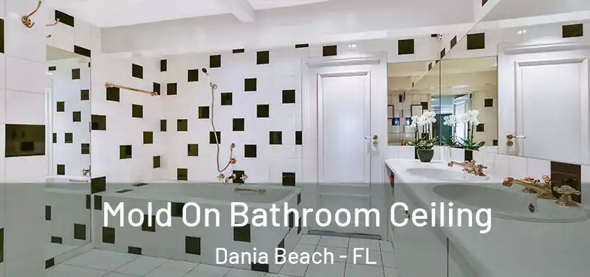  Mold On Bathroom Ceiling Dania Beach - FL