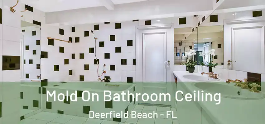  Mold On Bathroom Ceiling Deerfield Beach - FL
