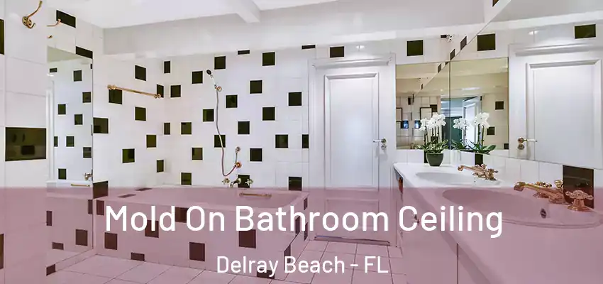  Mold On Bathroom Ceiling Delray Beach - FL