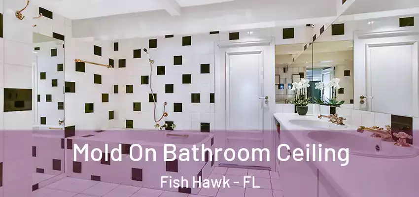  Mold On Bathroom Ceiling Fish Hawk - FL