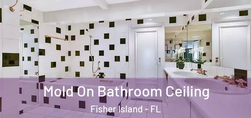 Mold On Bathroom Ceiling Fisher Island - FL