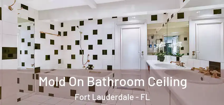 Mold On Bathroom Ceiling Fort Lauderdale - FL