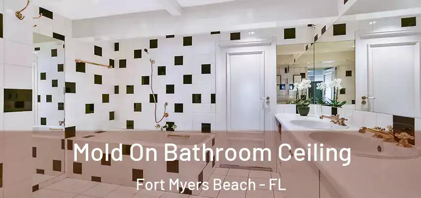  Mold On Bathroom Ceiling Fort Myers Beach - FL