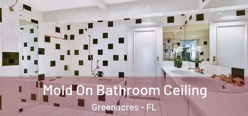  Mold On Bathroom Ceiling Greenacres - FL